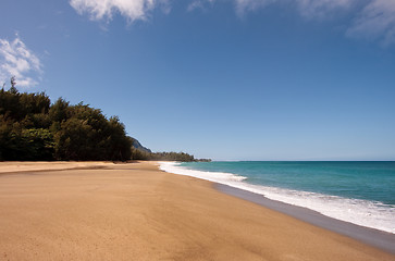 Image showing Lumaha'i beach in Kauai