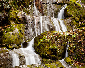 Image showing Place of a Thousand Drips in Smokies