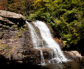 Image showing Swallow Falls Maryland