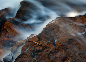 Image showing Autumn leaves in river