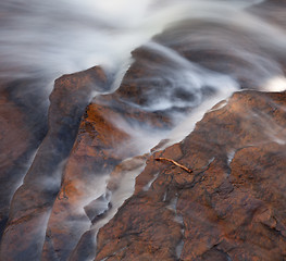 Image showing Fallen twig in river