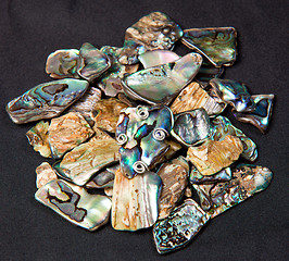 Image showing Pile of Paua shells