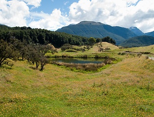 Image showing Rolling countryside in New Zealand