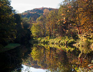 Image showing Reflection of fall leaves