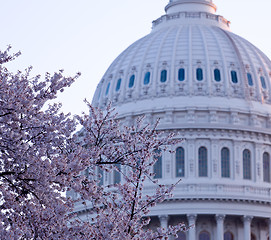 Image showing Sunrise behind the dome of the Capitol in DC