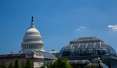 Image showing Capitol Building framed by Botanic Gardens