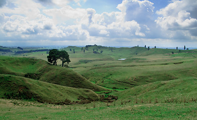 Image showing Rolling countryside in New Zealand