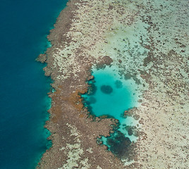 Image showing Great Barrier Reef