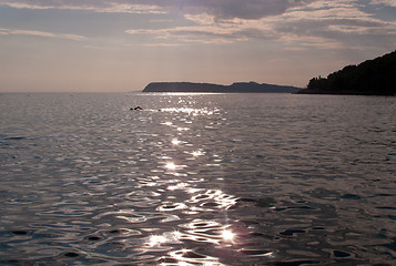 Image showing Swimmer across ocean