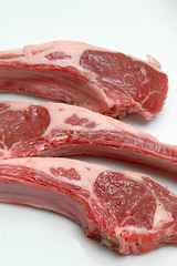 Image showing lamb chops