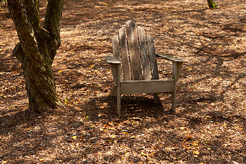 Image showing Adirondack chair in forest shade