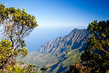 Image showing Leaves frame Na Pali Coast