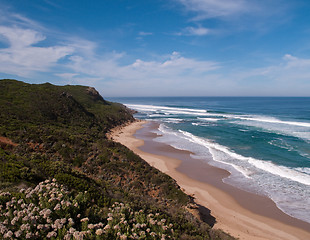 Image showing Coast near 12 Apostles in Australia