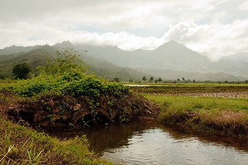Image showing Small bridge over irrigation ditch in Hanalei valley