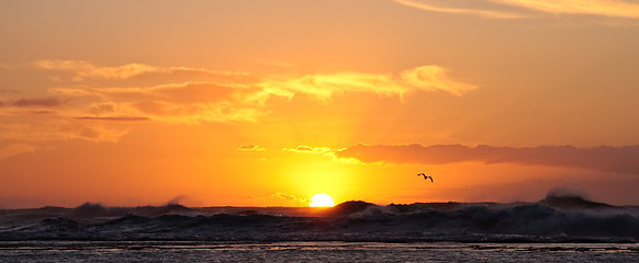 Image showing Sun setting over stormy ocean with a bird