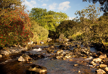 Image showing River flowing in welsh valley