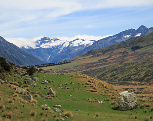 Image showing Mount Cook over a grassy plain