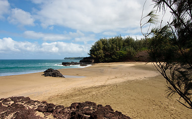 Image showing Lumaha'i beach in Kauai