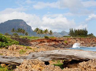 Image showing Rocky formations by sea on Kauai