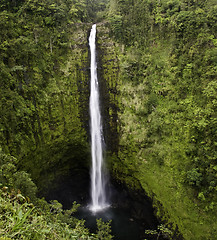 Image showing Akaka Falls