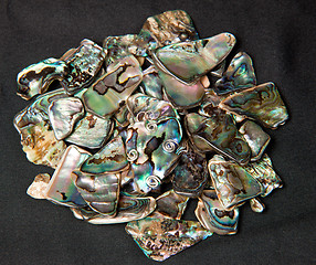 Image showing Pile of Paua shells