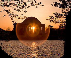 Image showing Cherry Blossom and Jefferson Memorial