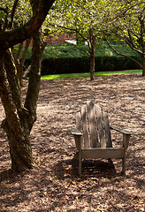 Image showing Adirondack chair in forest shade