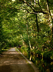 Image showing Pathway besides calm canal