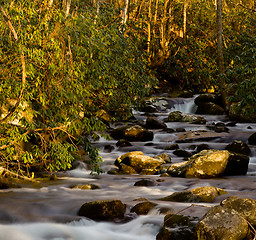 Image showing Raging stream in spring in Smokies