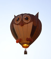 Image showing Hot air balloon shaped like an owl