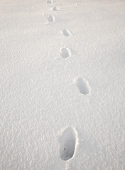 Image showing Footsteps in snow