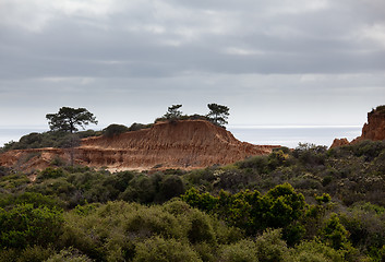 Image showing Broken Hill in Torrey Pines State Park