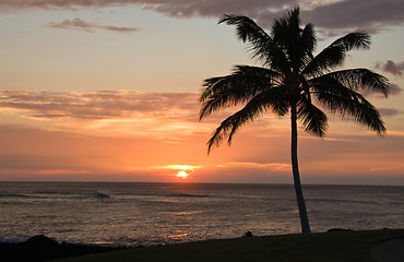 Image showing Single Palm tree framing a Hawaiian Sunset