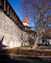 Image showing Old town walls in Tallinn