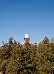 Image showing Water tower peeps above tree line