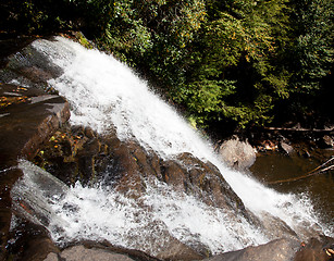 Image showing Swallow Falls Maryland