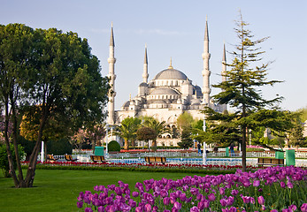 Image showing Blue Mosque 2