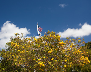 Image showing Plaza de Plasado in old Town San Diego