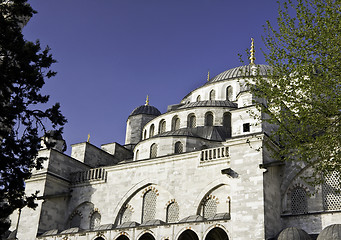 Image showing Blue Mosque Domes framed by trees