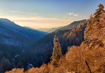 Image showing Snow covered trees at sunset in Smoky Mountains