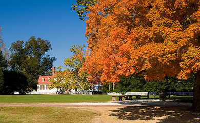 Image showing Old white house framed by autumn fall leaves