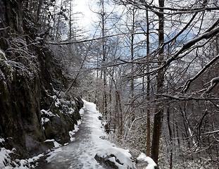 Image showing Snowy hike in Smoky Mountains