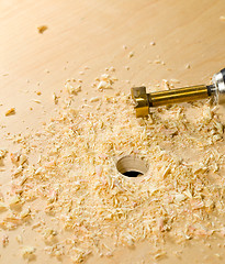 Image showing Woodwork tools working on piece of plywood