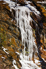 Image showing Weeping wall in Smoky Mountains covered in ice