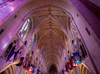 Image showing Light falling in gothic cathedral