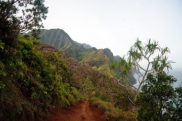 Image showing View of Na Pali coast