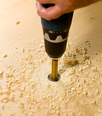 Image showing Woodwork tools working on piece of plywood