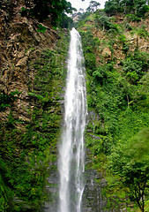 Image showing Wli Waterfall in Agumatsa Park in Ghana