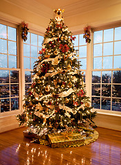 Image showing Beautiful xmas tree at dusk