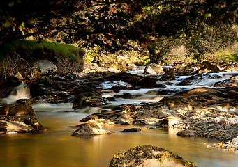 Image showing Peat laden river in secluded Welsh Valley